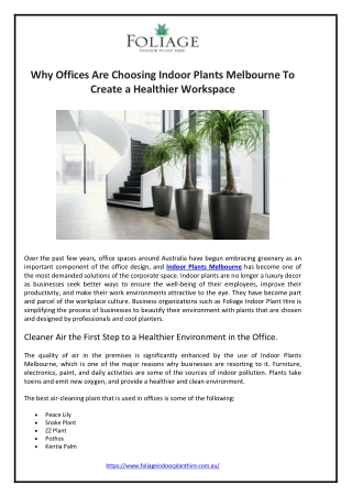 Why Offices Are Choosing Indoor Plants Melbourne To Create a Healthier Workspace