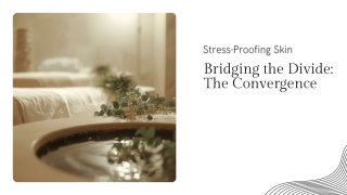 Presentation - Bridging the Divide The Convergence