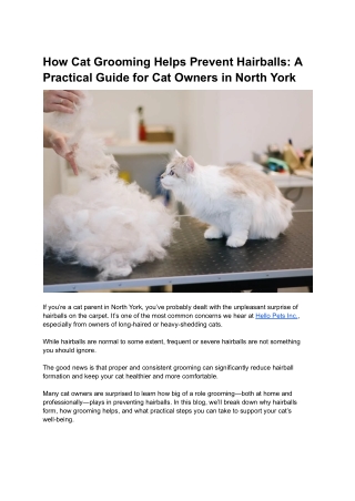 How Grooming Helps Prevent Hairballs_ A Practical Guide for Cat Owners in North York