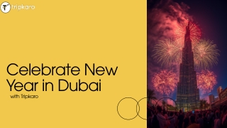 New Year Dubai Travel Package | Luxury Holiday Deals with Trip Karo