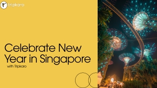 Celebrate New Year in Singapore with Trip Karo