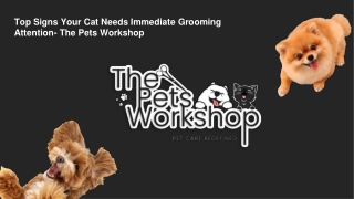 Top Signs Your Cat Needs Immediate Grooming Attention- The Pets Workshop