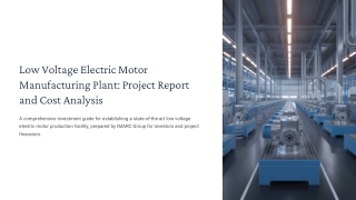 Low Voltage Electric Motor Manufacturing Plant Setup Guide