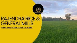 Rice Manufacturers in Haryana | Rajendra Rice & General Mills