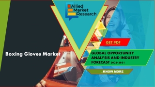 Boxing Gloves Market Global Analysis and Industry Forecast, 2021-2031