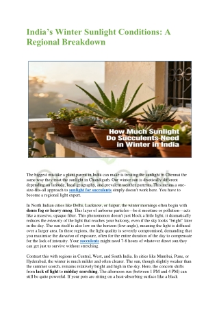 Succulent Winter Care