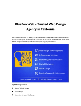 BlueZoo Web | Professional Web Design & Digital Services
