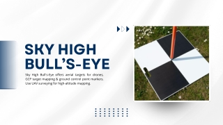 Sky High Bulls Eye (Dec)