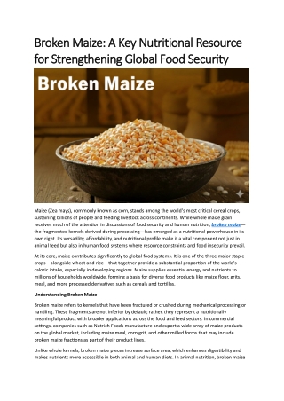 Broken Maize: A Key Nutritional Resource for Strengthening Global Food Security