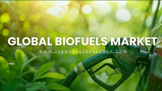 Biofuels Market Explained  Industry Trends, Applications & Future Scope