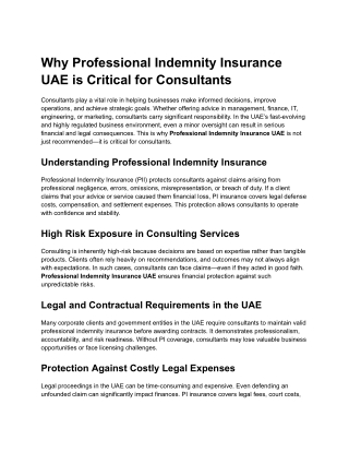 Why Professional Indemnity Insurance UAE is Critical for Consultants