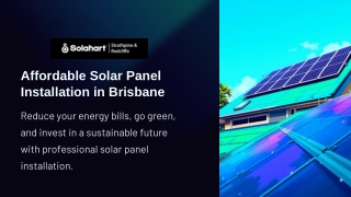 Affordable Solar Panel Installation in Brisbane