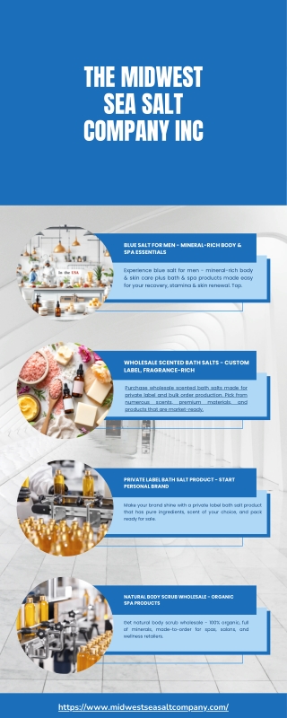 Blue and White Minimalist Business Services Infographic