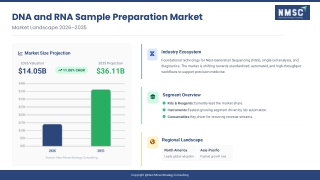 DNA and RNA Sample Preparation Market Overview