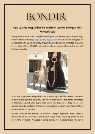 High Quality Dog Collars by BONDIR Crafted Strength with Refined Style
