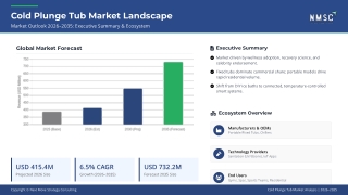 Global Cold Plunge Tub Market: Trends, Growth, and Wellness Applications