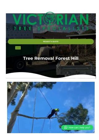 Tree Removal Forest Hill
