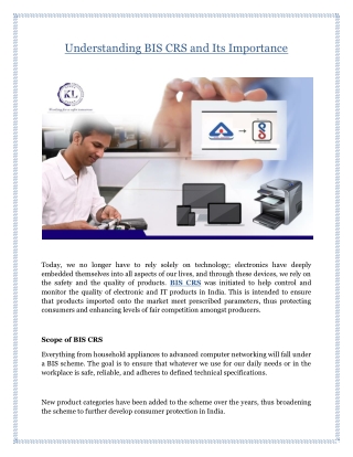 Understanding BIS CRS and Its Importance