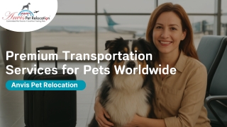 Trusted Pet Movers for Safe & Stress-Free Relocation Worldwide