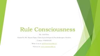 Rule Consciousness: Understanding Rigidity, Moral Standards, and Flexibility.