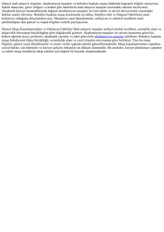 Maaş Analizleri: Mali Müşavir, Akademisyen ve Belediye Başkanı Maaşları