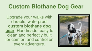 Custom Biothane Dog Gear