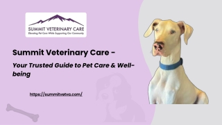 Summit Veterinary Care – Compassionate & Comprehensive Pet Healthcare