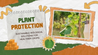 Plant Protection Using Biological and Eco-Friendly Methods