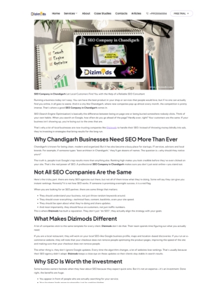 SEO Company in Chandigarh | Dizimdos