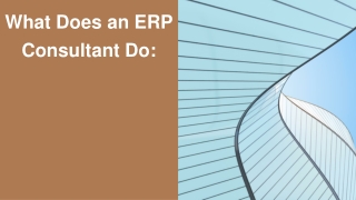 What Does an ERP Consultant Do_