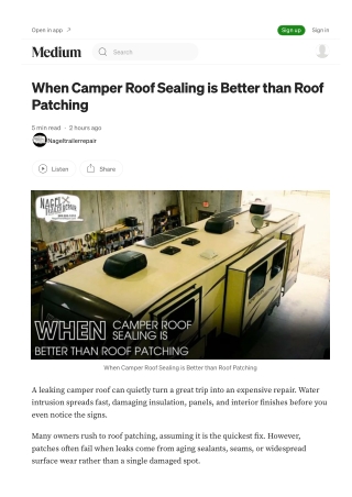 Why Camper Roof Sealing is Better for Michigan