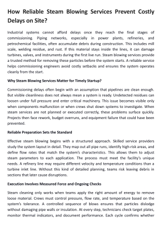 Beyond the Blowdown Valve - The Role of Steam Blow Equipment in Reducing Startup