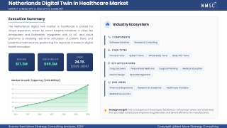 Netherlands Digital Twin Healthcare Market: Transforming the Future of Care