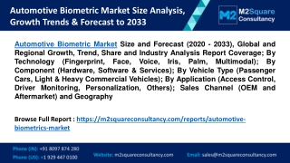 Automotive Biometric Market Size Analysis, Growth Trends & Forecast to 2033