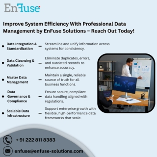 Improve System Efficiency With Professional Data Management by EnFuse Solutions