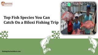 Top Fish Species You Can Catch On a Biloxi Fishing Trip