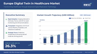 Europe’s Digital Twin Healthcare Market at the Forefront of Precision Medicine