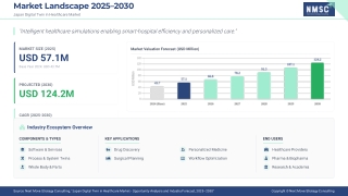 Japan’s Digital Twin Pioneering Through Virtual Care Innovation