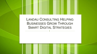 Landau Consulting Helping Businesses Grow Through Smart Digital Strategies