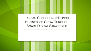 Landau Consulting Helping Businesses Grow Through Smart Digital Strategies