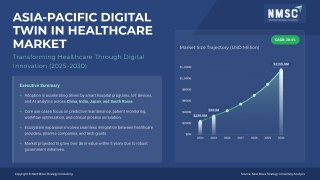 Shaping the Future of Medicine : Asia–Pacific’s Digital Twin
