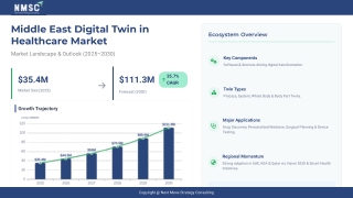 Digital Twin Innovation in Middle East Healthcare