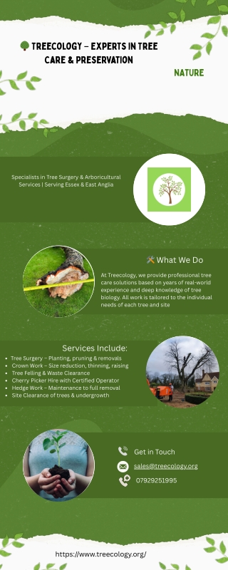 Tree Surgery in Essex | Tree Surgeon in Essex | Treecology