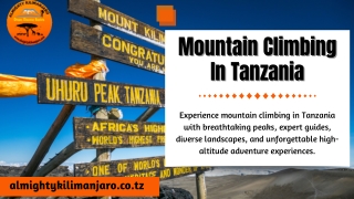 Mountain Climbing In Tanzania
