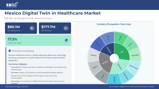 Salud Viva Twin: Mexico’s Living Digital Healthcare System