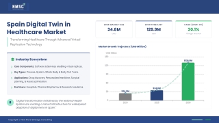 Hispania Health Twin: Reimagining Care Through Digital Intelligence