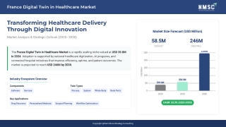 France Digital Twin in Healthcare Market: Advancing Precision and Predictive Car