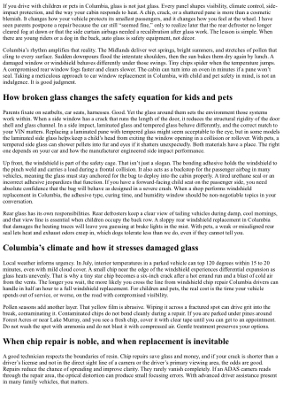 Car Window Replacement in Columbia: Child and Pet Safety Considerations