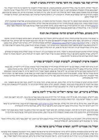 מונית מפוארת מנתבג – VIP מהרגע הראשון