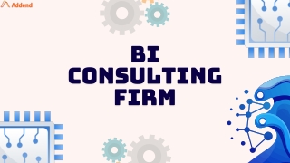 bi consulting firm